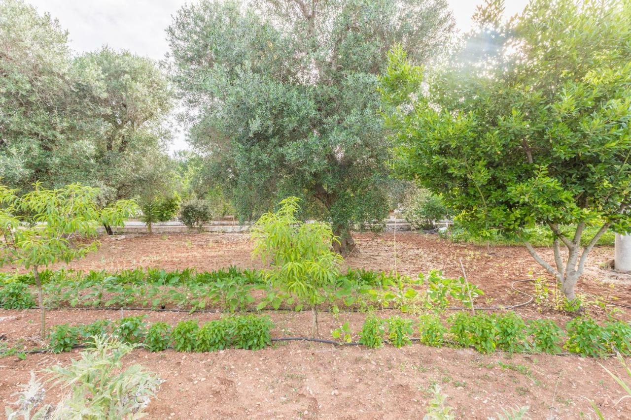 Lamia Di Nonna Mena Vila San Vito dei Normanni Exterior foto